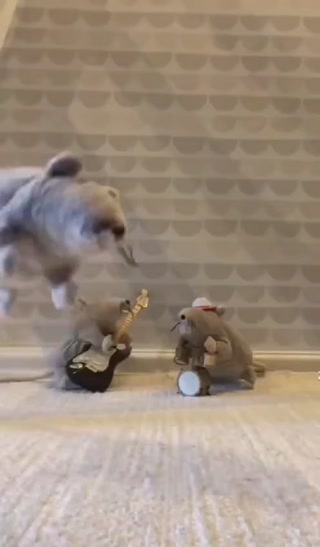 007e8f2826eba01c.mp4