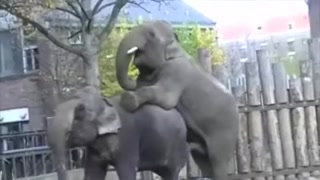 04bc5dc6aa4151e0.mp4