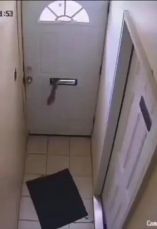 0a472050e58e5aee.mp4