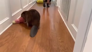 109c837327a8800d.mp4