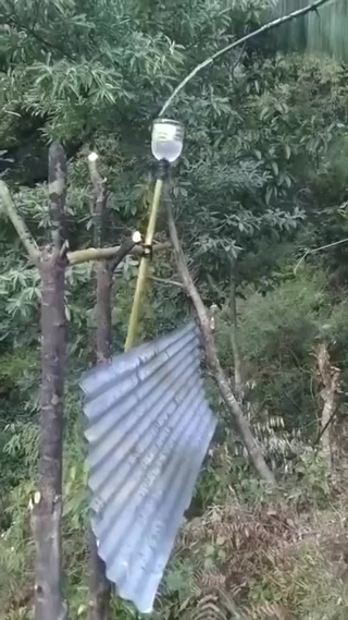 1227e33ce986ae98.mp4