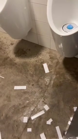 12d0ba262ea8ccc0.mp4