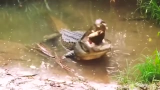 177e662ffcab149b.mp4