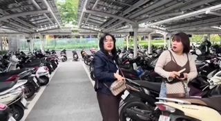 1d33a4ed0caad0b6.mp4