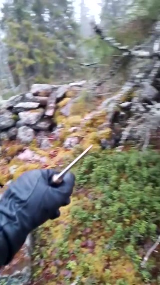 1ff4f3ffc439532c.mp4