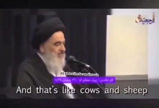 2077054a12d738fc.mp4