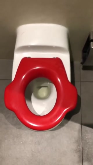 216829d7fc92cc2d.mp4