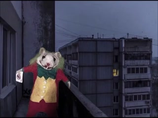 219cbb2dcbc0bfa7.mp4