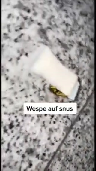 242e38f21529d73d.mp4