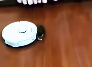 2fa9f66c73504627.mp4