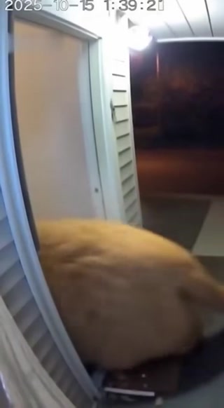 320696eb8216f201.mp4