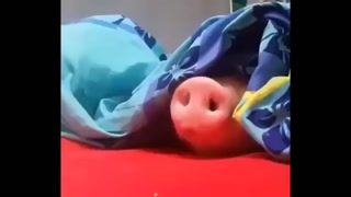 329ed5051bf29182.mp4