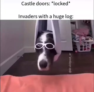 331cd2899c614a8a.mp4