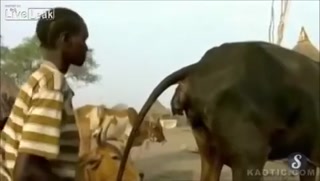 335d11cb10872b7d.mp4