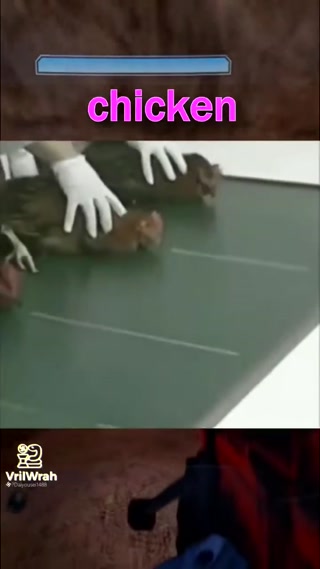 384e9416abab52a4.mp4
