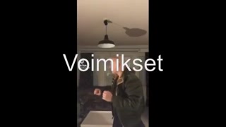 3a69a3bf99cac6a1.mp4