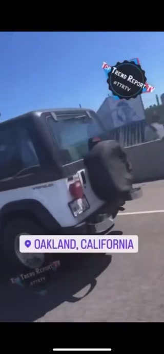 3afb933b8bb55666.mp4