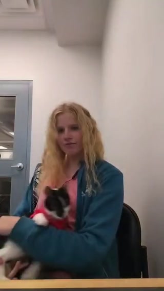 3b208f8792ba4d63.mp4