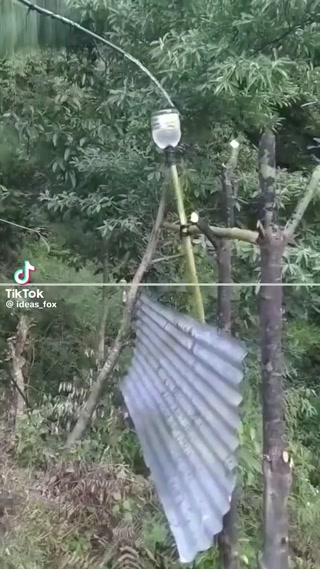 3f24e20176ec50e6.mp4