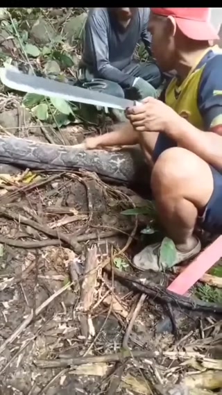 43ef5fe2d66cd886.mp4