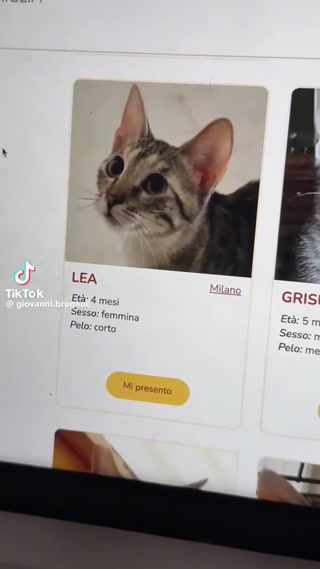 446618391db95f6e.mp4