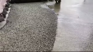 48e7bce4328a113d.mp4