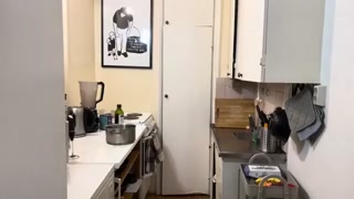 4a4613e43912f999.mp4