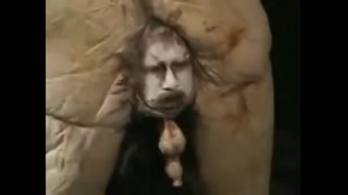 4cee928530fcc71f.mp4