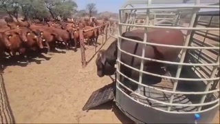 4d45f6815918c3af.mp4