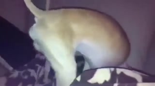 4de511b74b05e107.mp4