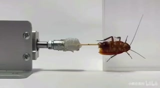 4fa01ddefa00c619.mp4