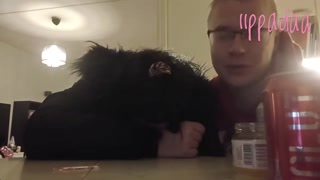 50444ec069cc5957.mp4