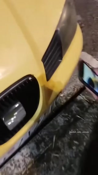 57f555bb410ee1f1.mp4