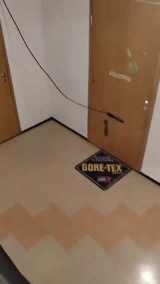 5c131551cab8711c.mp4