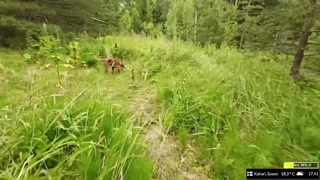 61c06458e78b25d8.mp4