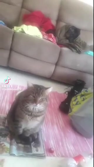 65c10685352d09a1.mp4