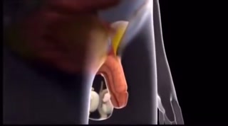 6774216c0dc701d6.mp4