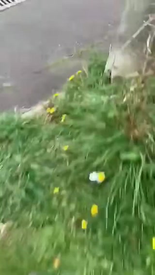 680b9769c78f9208.mp4