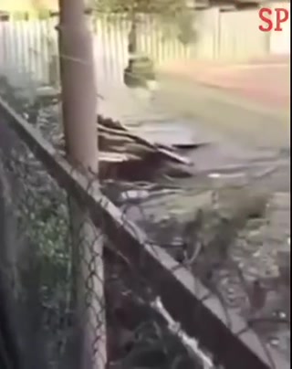 6831e2b18aba0365.mp4