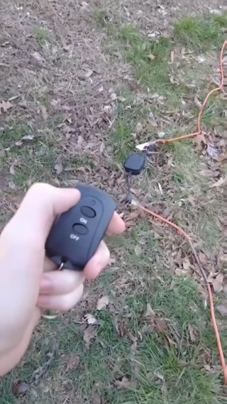 6b8749e2887d95d3.mp4