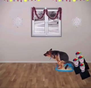 6d2ca11aee0b421c.mp4