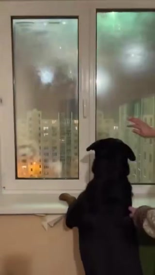 6d748bd8d2f6e950.mp4