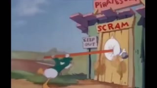 6d9a0fa20e28a99c.mp4