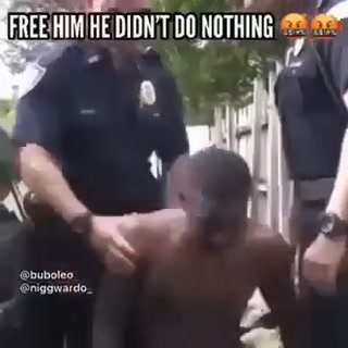 6dbccebafbb6b72b.mp4