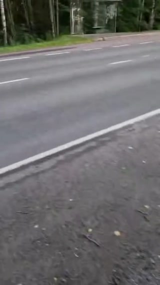 6fab86aa005984d5.mp4