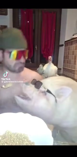 70a77cc7b1583b67.mp4