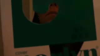 70fb22410ccd162c.mp4