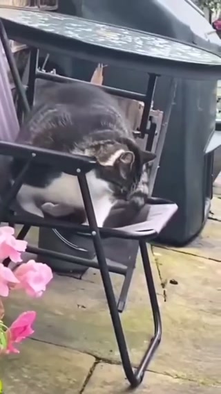 789e6bc3e051d376.mp4