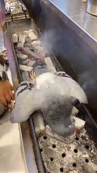 7e20e87cde2a962c.mp4