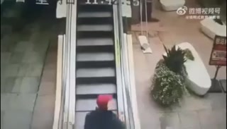 7face64bafa0ab4c.mp4